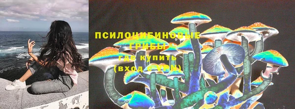 ECSTASY Лиски