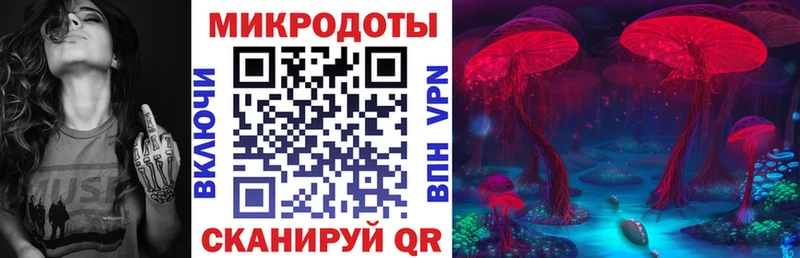 Псилоцибиновые грибы мицелий Пойковский